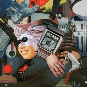 Behavioural sink delirium